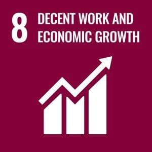 UN Sustainability Goal #8 Decent Work and Economic Growth